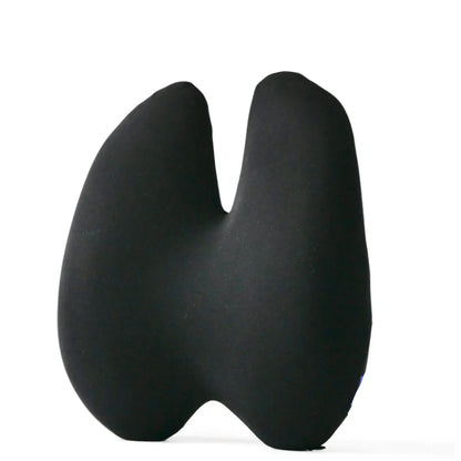 Ortopedisk Ländryggskudde