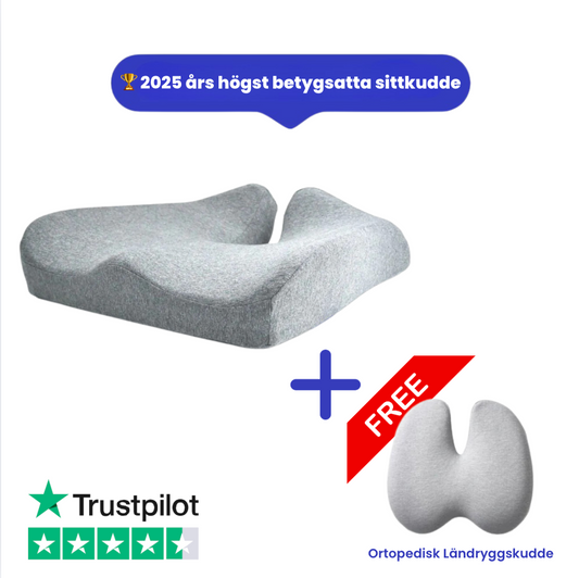 Ortopedisk sittkudde